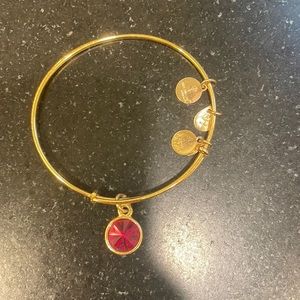 Alex and ani birthstone bracelet— garnet
